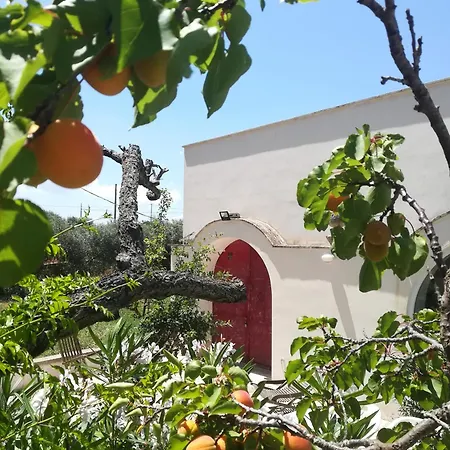 Holiday home I Trulli Di Maselluzzo *