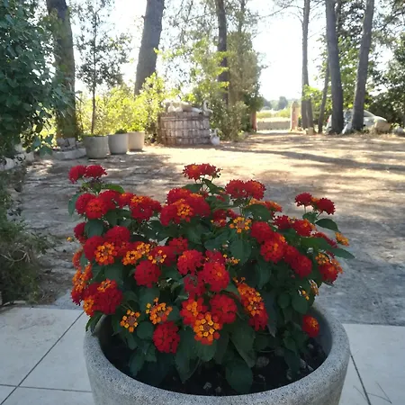 I Trulli Di Maselluzzo Holiday home Locorotondo