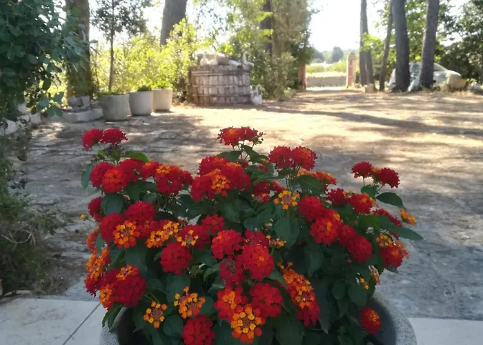 I Trulli Di Maselluzzo 度假居 洛科罗通多